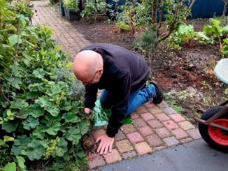 Man is bezig om vrouwenmantel uit te spitten