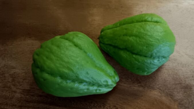 2 Chayote sechium edulis liggen op een houten tafel