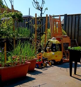 De conference perenboom: een uitdaging voor verticaal tuinieren met een parkeerplaats voor het speelgoed van onze kleinzoon