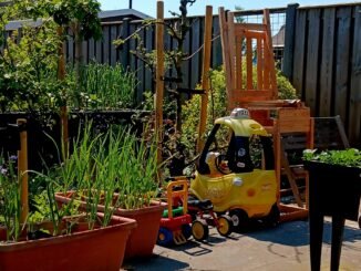 De conference perenboom: een uitdaging voor verticaal tuinieren met een parkeerplaats voor het speelgoed van onze kleinzoon